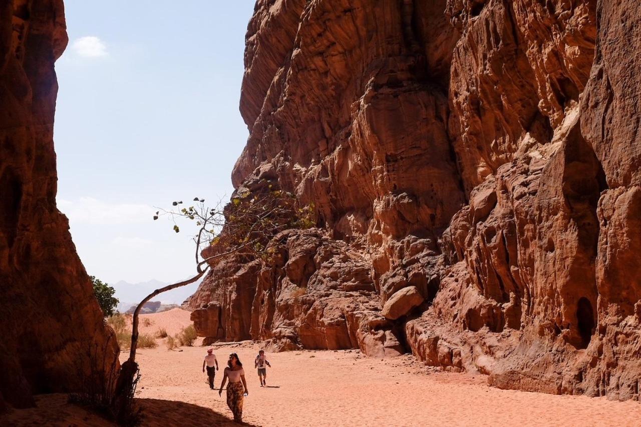 Wadi Rum Bedouin Camp And Desert Tours المظهر الخارجي الصورة