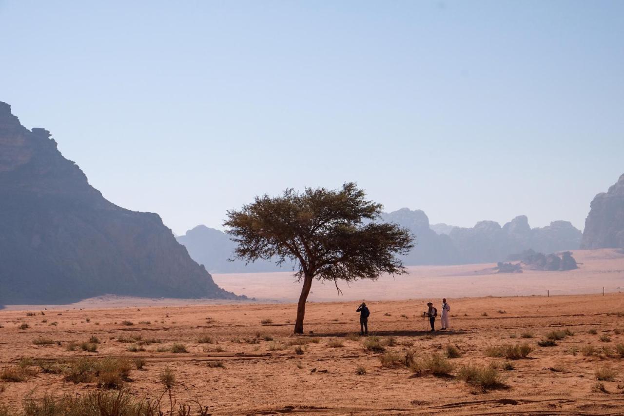 Wadi Rum Bedouin Camp And Desert Tours المظهر الخارجي الصورة